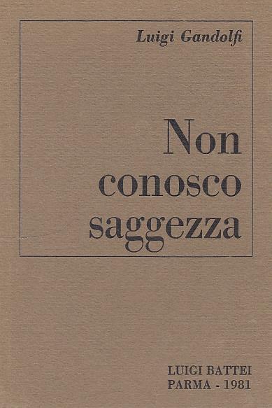 Non Conosco Saggezza - copertina