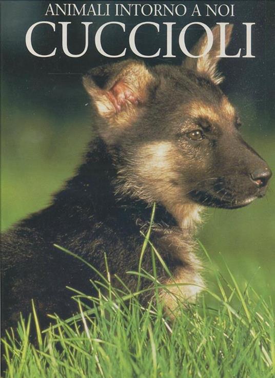 Animali Intorno A Noi Cuccioli - Marcus Schneck - copertina