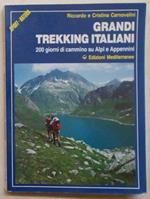 Grandi trekking italiani. 200 giorni di cammino su Alpi e Appennini