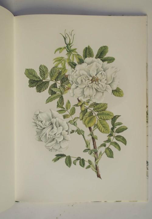 A book of white flowers - Elizabeth Cameron - copertina
