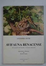 Avifauna benacense. Gli uccelli del Garda e territori limitrofi…