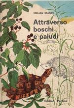 Attraverso Boschi E Paludi