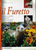 Il Furetto