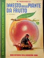 Innesto delle piante da frutto e della vite