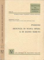 Possesso. Denuncia di nuova opera e di danno temuto