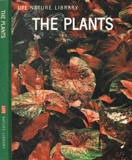 The plants - copertina