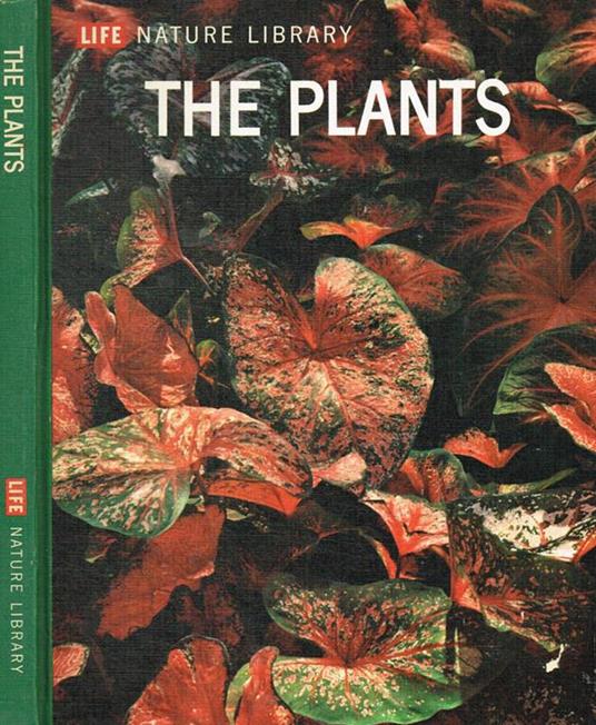 The plants - copertina