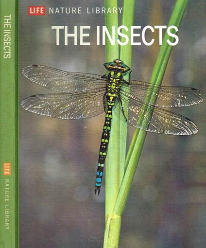 The insects - Peter Farb - copertina