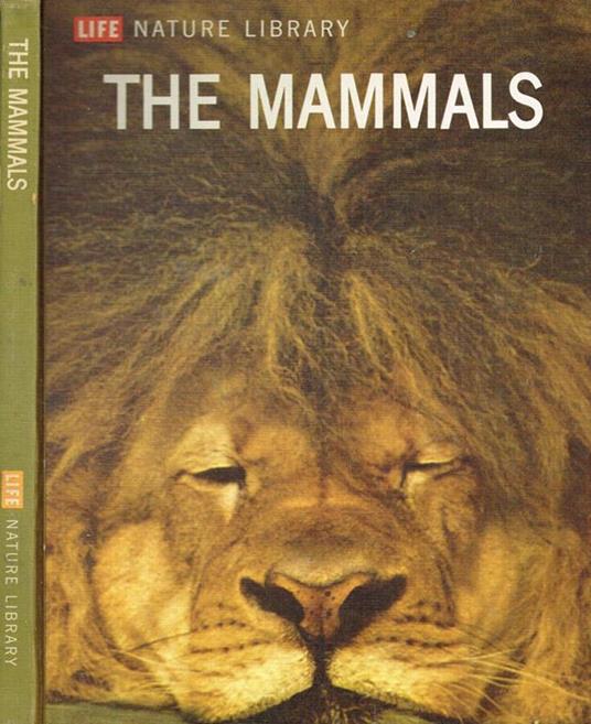 The mammals - copertina