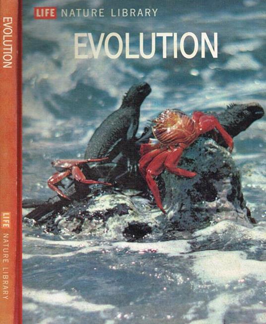 Evolution - Ruth Moore - copertina