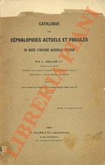 Catalogue des Céphalopodes actuels et fossiles du Musèe d'Elbeuf