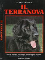 Il Terranova