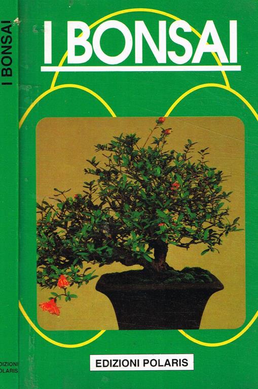 I bonsai - Lilia Ambrosi - copertina