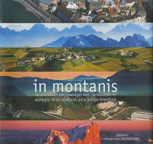 In montanis: Landschaften der Euregio Tirol-Südtirol = paesaggi del/landscapes of Alto Adige-Trentino - Anita Pichler - copertina