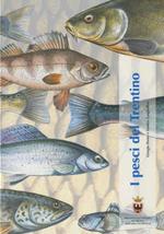 I pesci del Trentino