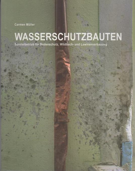Wasserschutzbauten: Sonderbetrieb für Bodenschutz, Wildbach- und Lawinenverbauung - Carmen Müller - copertina