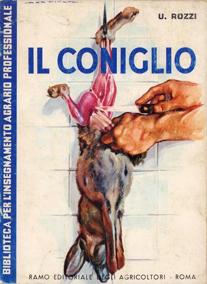 Il coniglio - Ubaldo Rozzi - copertina