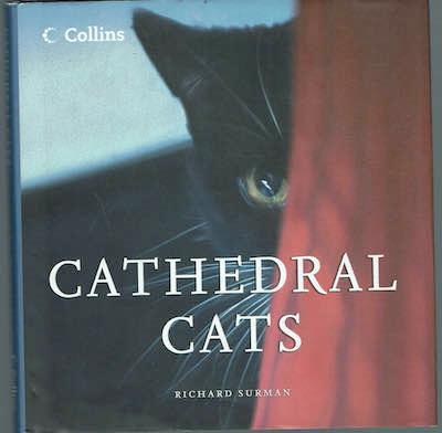 Cathedral Cats - copertina