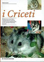 Criceti