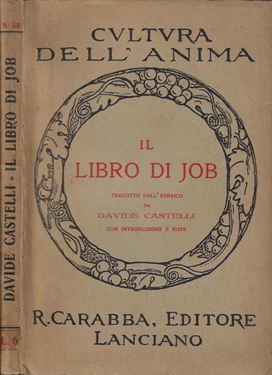 Il libro di Job - Davide Castelli - copertina