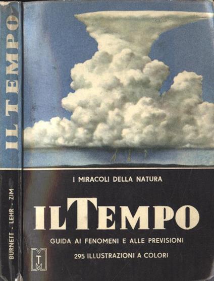 Il tempo - Paul E. Lehr - copertina