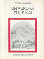 Un'aurora sul Sinai