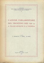 L’azione parlamentare del Trentino nel 1848-49 a Francoforte e a Vienna