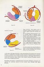 Angiocardiologia nucleare. Presentazione: prof. G. Galli [...] Commento introduttivo: prof. M. Guazzi [...]