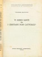 Vi sono santi tra i cristiani non cattolici?