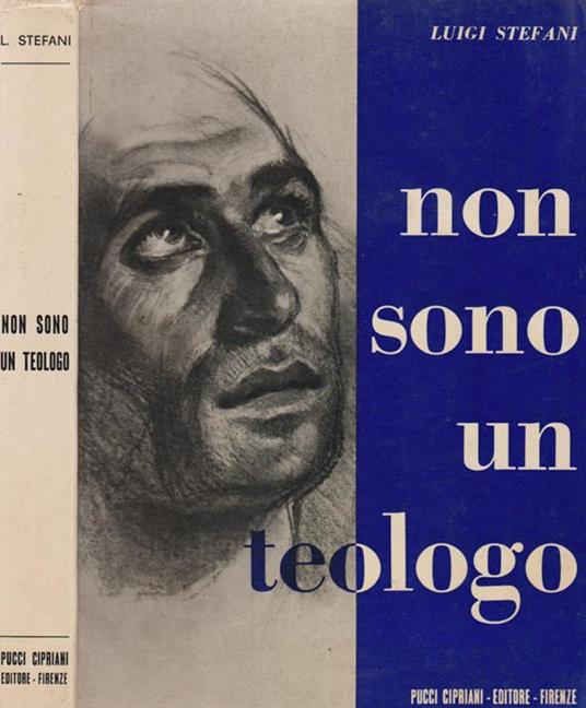 Non sono un teologo - Luigi Stefani - copertina