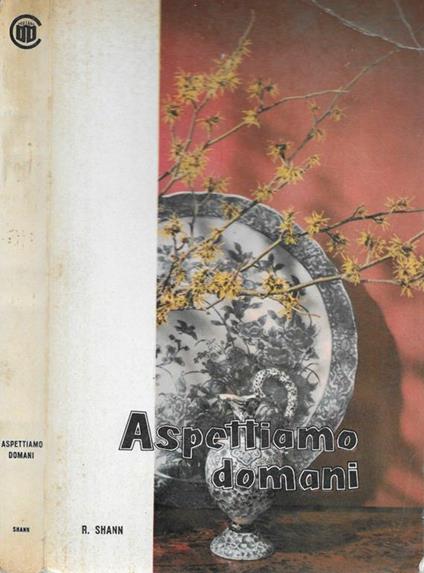 Aspettiamo domani - copertina