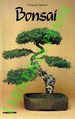 Bonsai