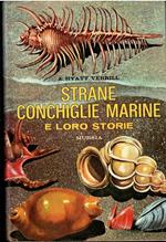 Strane Conchiglie Marine E Loro Storie