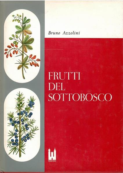 Frutti Del Sottobosco. Morfologia di Piante Fruttifere - Bruno Azzolini - copertina