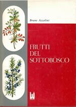 Frutti Del Sottobosco. Morfologia di Piante Fruttifere