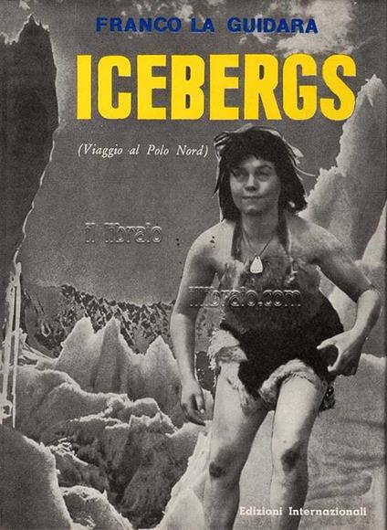 Icebergs. Viaggio al Polo Nord - Franco La Guidara - copertina