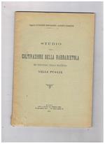 Studio sulla coltivazione della barbabietola ed industria dello zucchero nelle Puglie