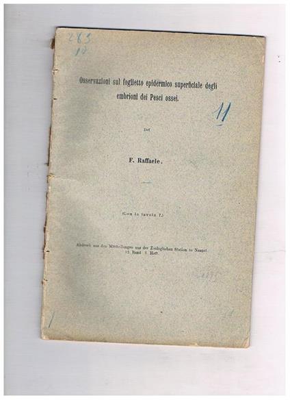 Osservazioni sul foglietto epidermico superficiale degli embrioni dei pesci ossei. Estratto - Federico Raffaele - copertina