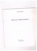 Prima del Castrum Gradiscae. Estratto dal Numero Unico Gardis'cia della Società Filologica Friulana