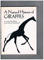 A Natural History of Giraffes