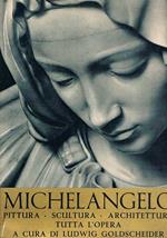 Michelangelo pittura - scultura - architettura