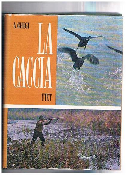 La caccia - Alessandro Ghigi - copertina