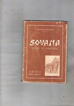 Sovana città di Geremia. Guida storico-turistica