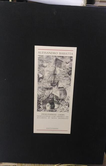 Fidelissimae urbis. Neapolitanae cum omnibus voos accurata et nova delineatio. Riproduzione in facsimile della veduta della città dell'edizione del 1629. Riproduzioni in scala 1:1 - Alessandro Baratta - copertina