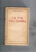 La via nell'ombra