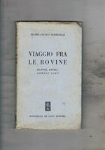 Viaggio fra le rovine. Frappez, entrez, rompez, tout. Itinerario da Roma alla Sicilia fra le rovine della guerra