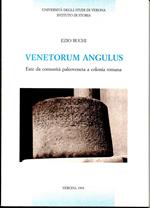 Venetorum Angulus. Este da comunità paleoveneta a colonia romana. Università degli studi di Verona. Istituto di Storia