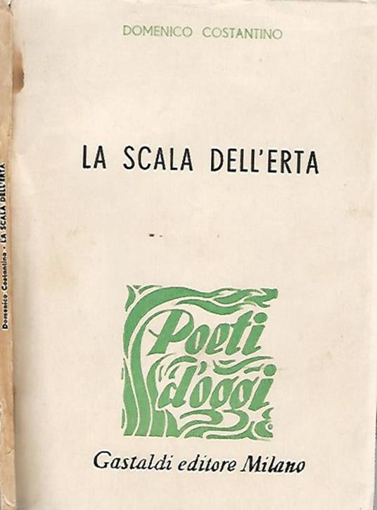 La scala dell'erta - Domenico Costantino - copertina