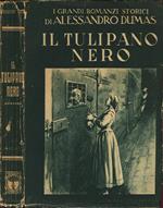 Il Tulipano Nero