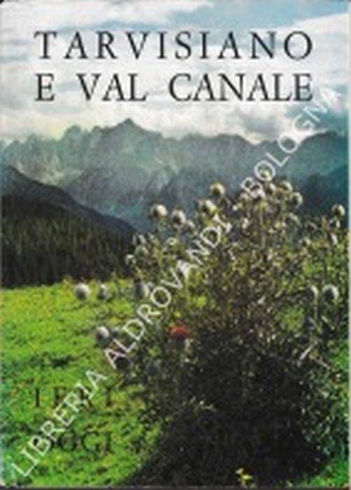 Tarvisiano E Val Canale. Ieri E Oggi - P. Micoli - copertina